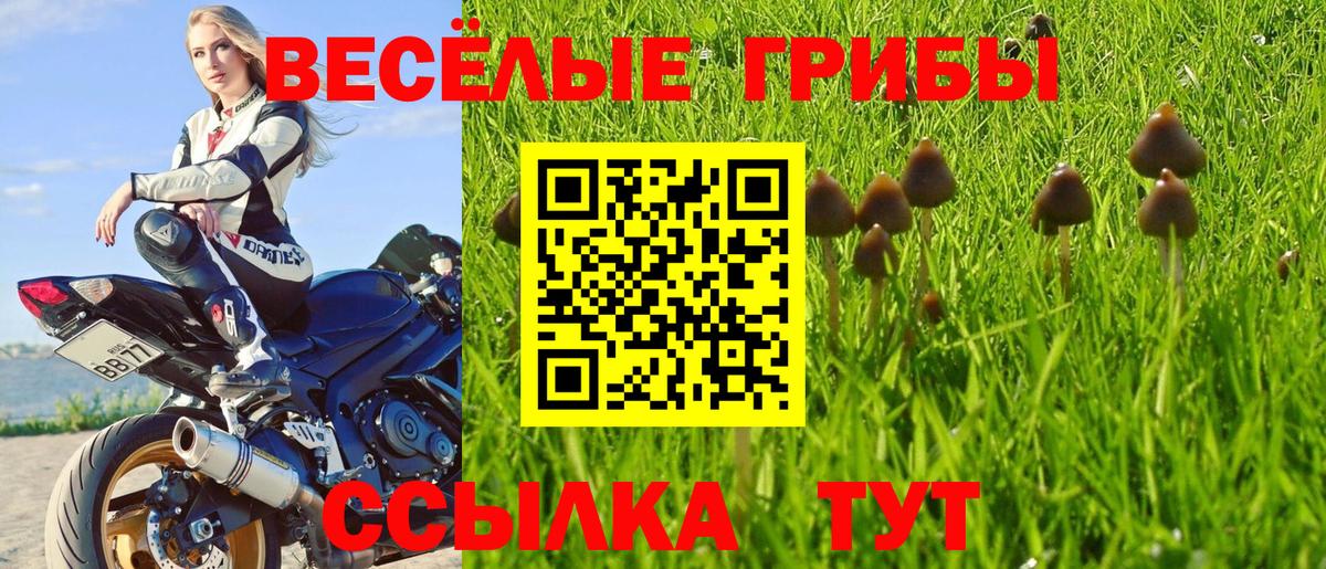 Псилоцибиновые грибы прущие грибы  Вход с VPN  Ленинск-Кузнецкий 