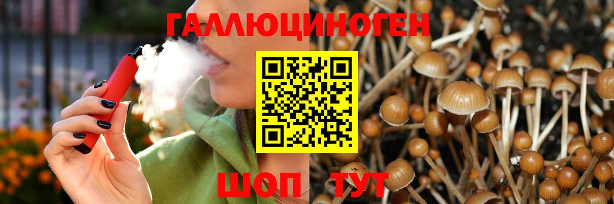 Галлюциногенные грибы мухоморы Ленинск-Кузнецкий
